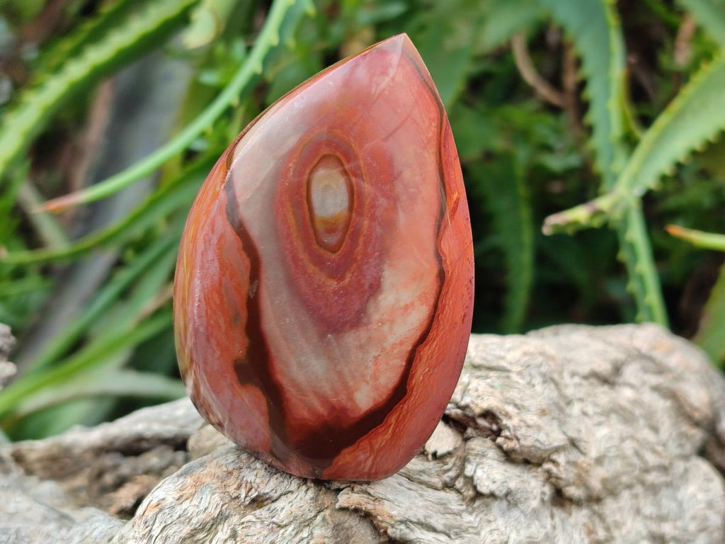 Polished Polychrome Jasper Flames x 12 From NW Coast, Madagascar