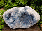 Natural XL Blue Celestite Geode Specimen x 1 From Sakoany, Madagascar