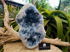 Natural XL Blue Celestite Geode Specimen x 1 From Sakoany, Madagascar