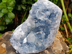 Natural Large Blue Celestite Specimen x 1 From Sakoany, Madagascar