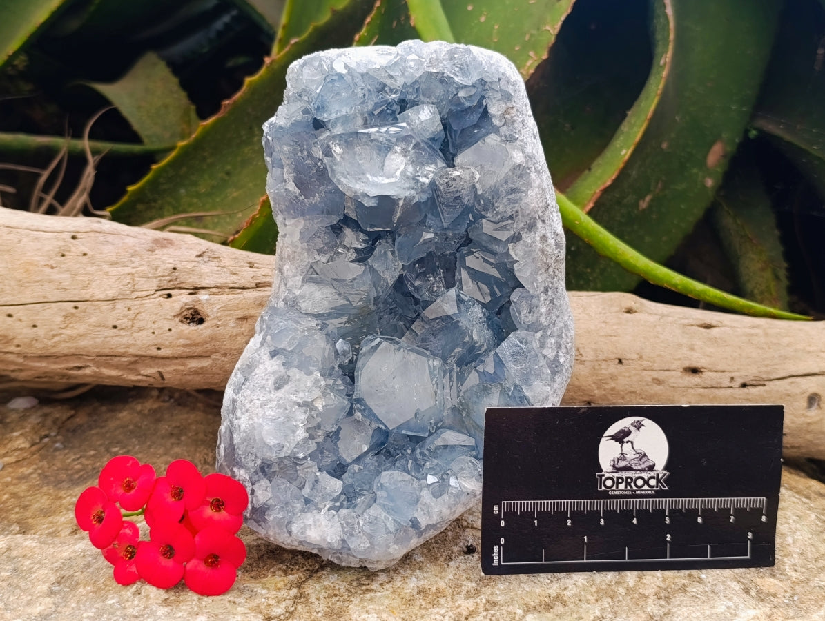 Natural Large Blue Celestite Specimen x 1 From Sakoany, Madagascar