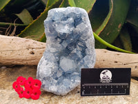 Natural Large Blue Celestite Specimen x 1 From Sakoany, Madagascar