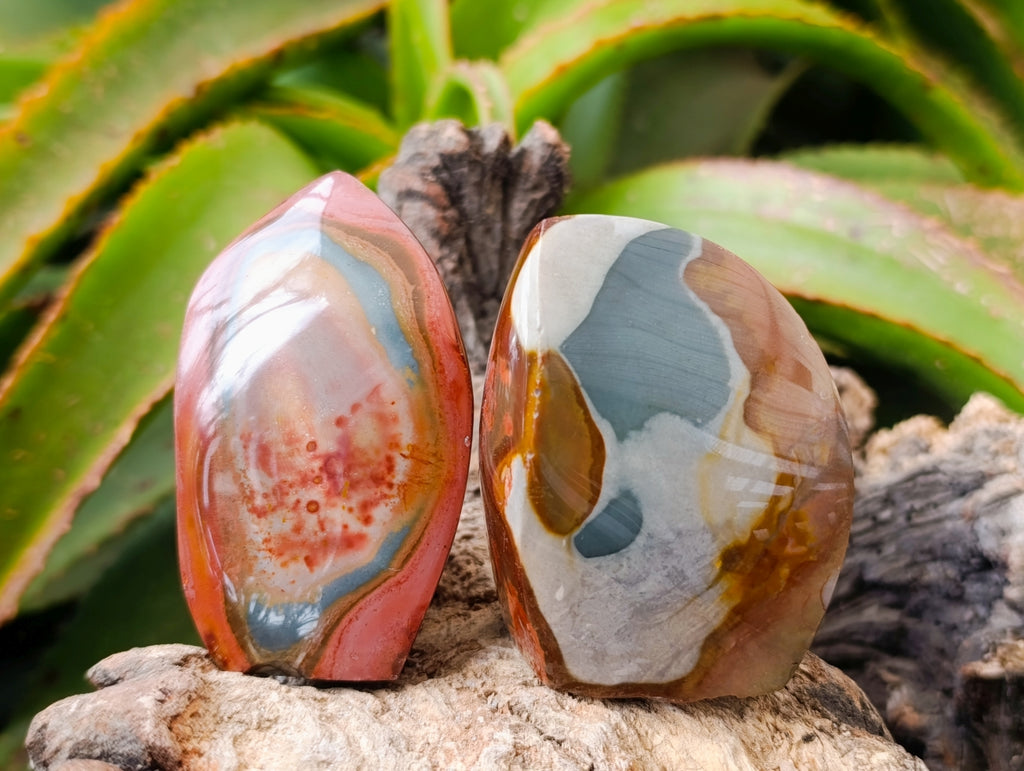 Polished Polychrome Jasper Flames x 6 From NW Coast, Madagascar
