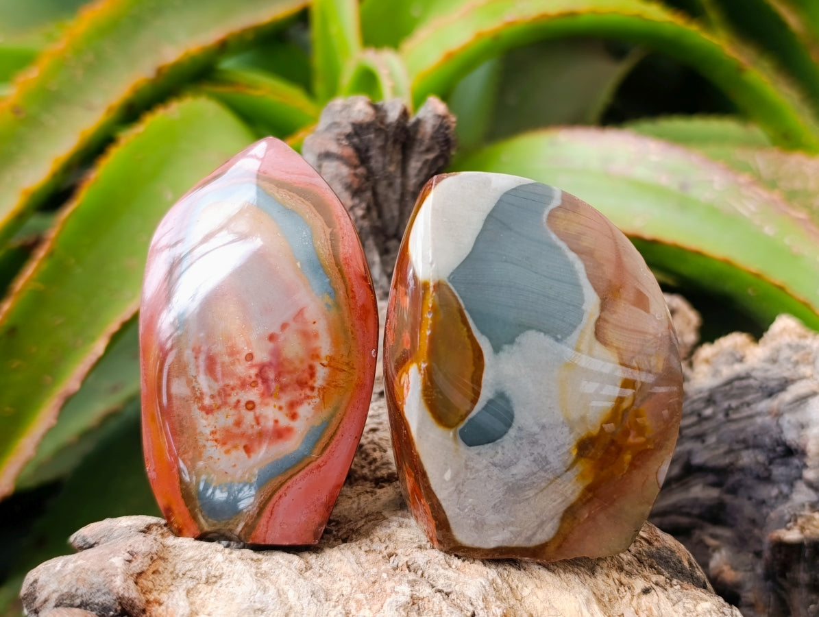 Polished Polychrome Jasper Flames x 6 From NW Coast, Madagascar