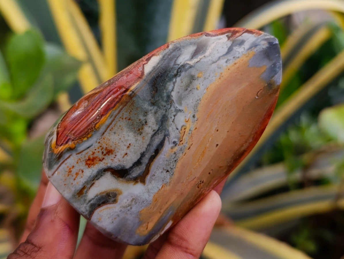 Polished Polychrome Jasper Flames x 6 From NW Coast, Madagascar