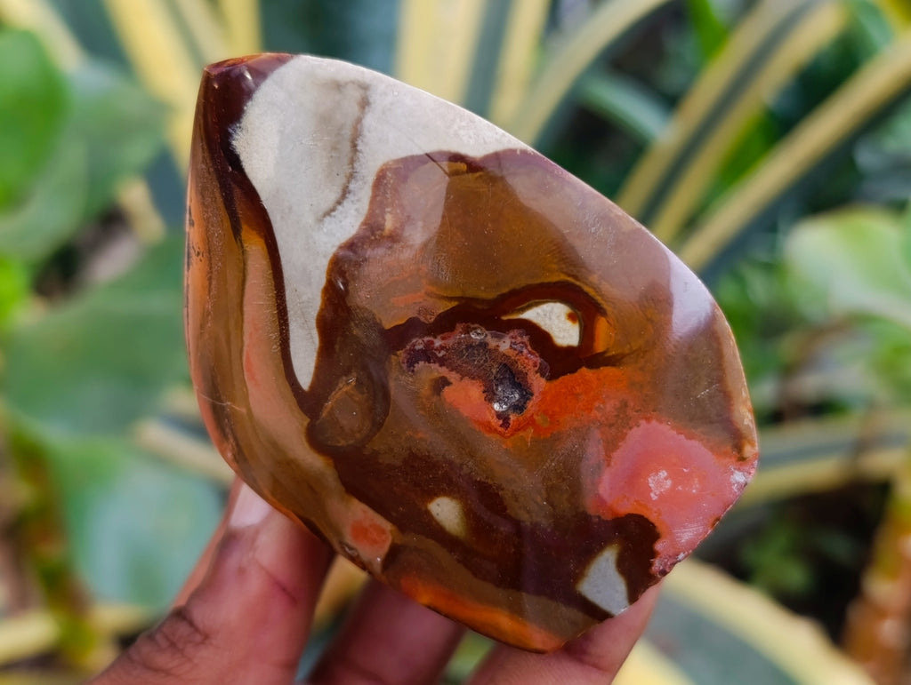 Polished Polychrome Jasper Flames x 6 From NW Coast, Madagascar