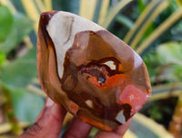 Polished Polychrome Jasper Flames x 6 From NW Coast, Madagascar