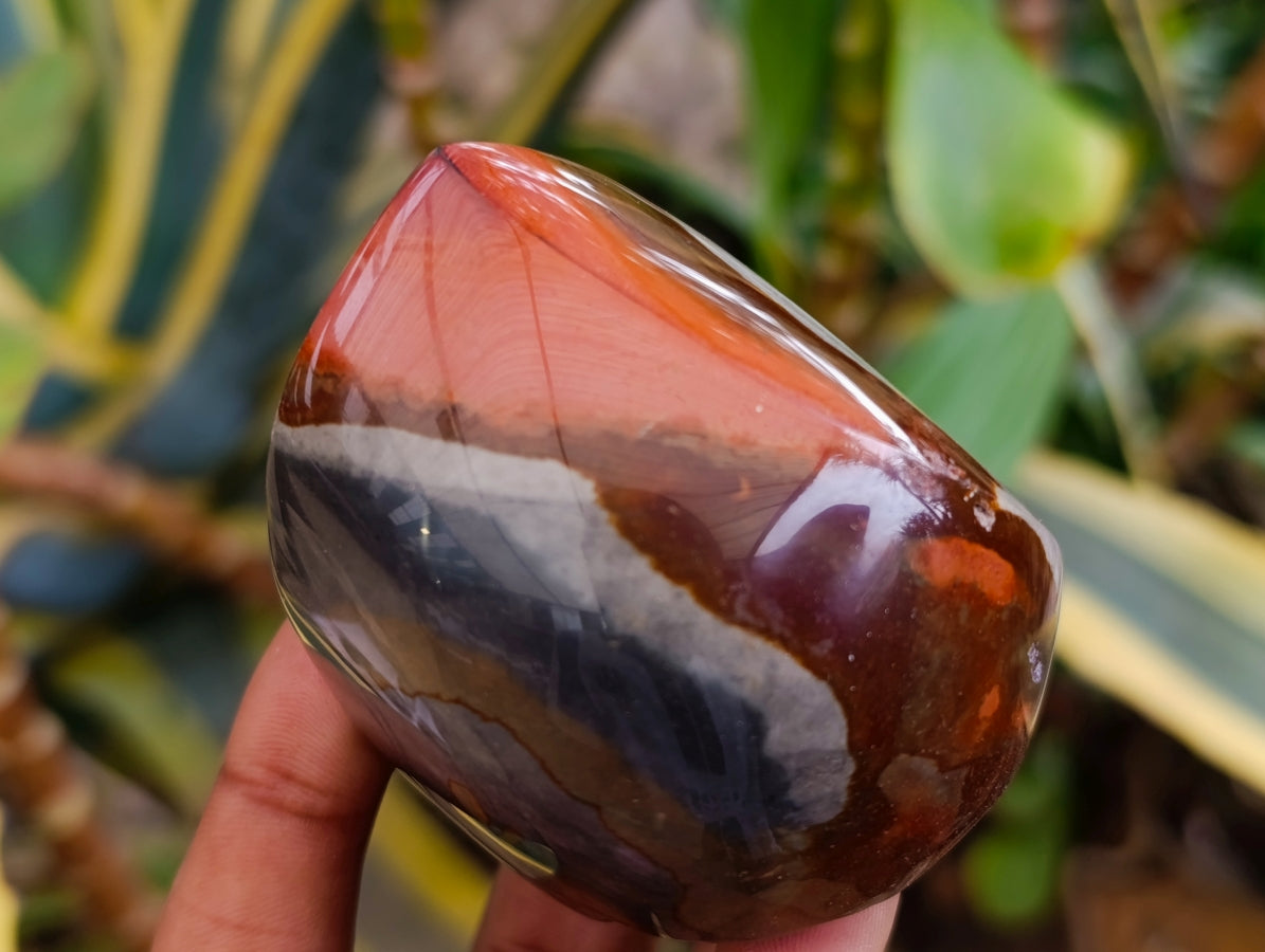 Polished Polychrome Jasper Flames x 6 From NW Coast, Madagascar