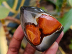Polished Polychrome Jasper Flames x 6 From NW Coast, Madagascar