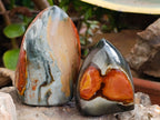 Polished Polychrome Jasper Flames x 6 From NW Coast, Madagascar