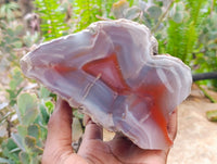 Polished One Side Red Shashe River Agate Nodules x 2 From Shashe River, Zimbabwe