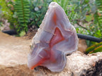 Polished One Side Red Shashe River Agate Nodules x 2 From Shashe River, Zimbabwe