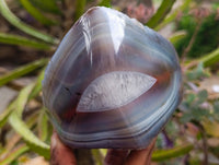 Polished One Side Red Shashe River Agate Nodules x 2 From Shashe River, Zimbabwe