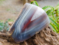 Polished One Side Red Shashe River Agate Nodules x 2 From Shashe River, Zimbabwe