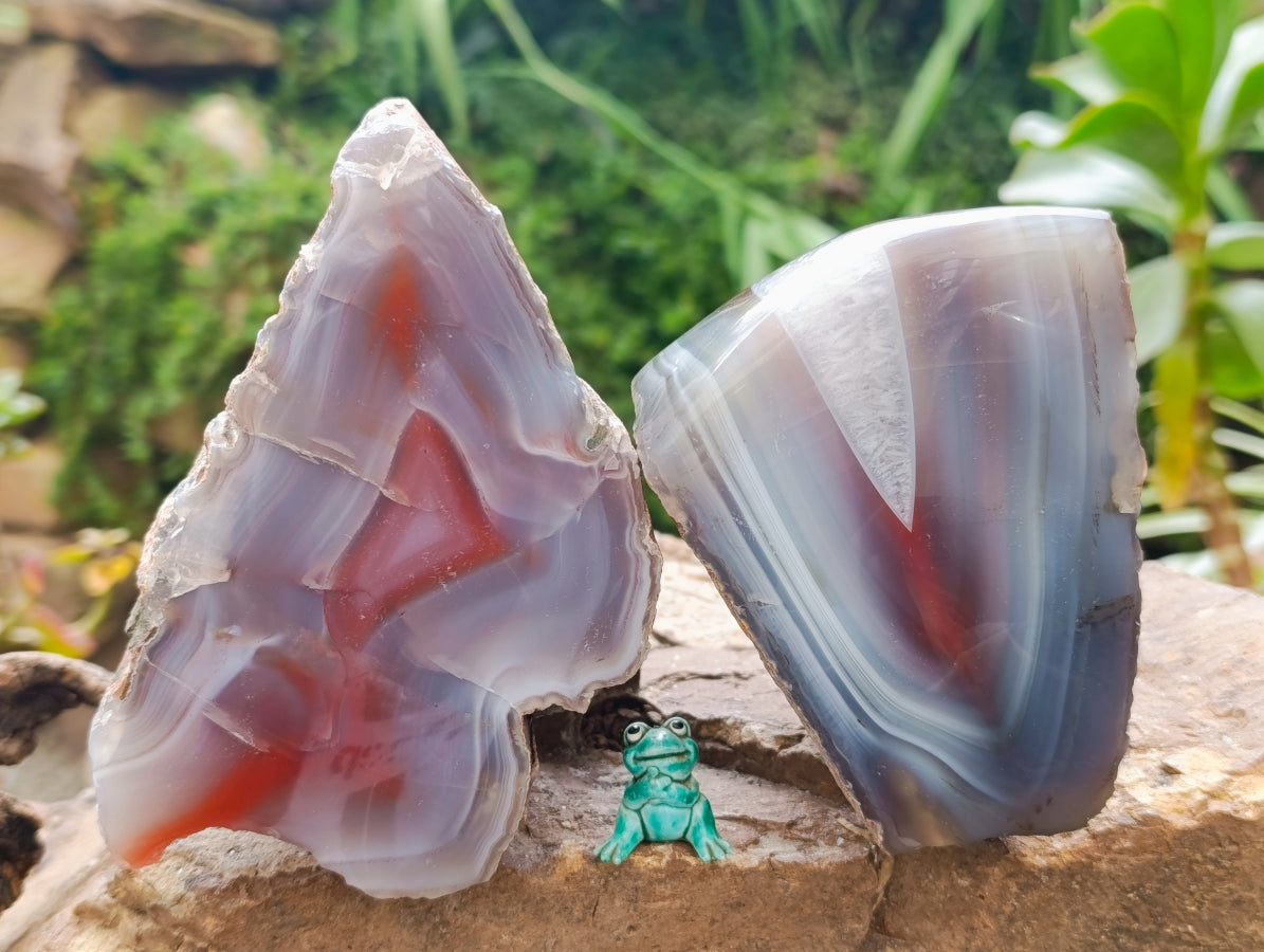 Polished One Side Red Shashe River Agate Nodules x 2 From Shashe River, Zimbabwe