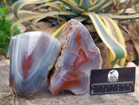 Polished One Side Red Shashe River Agate Nodules x 2 From Shashe River, Zimbabwe