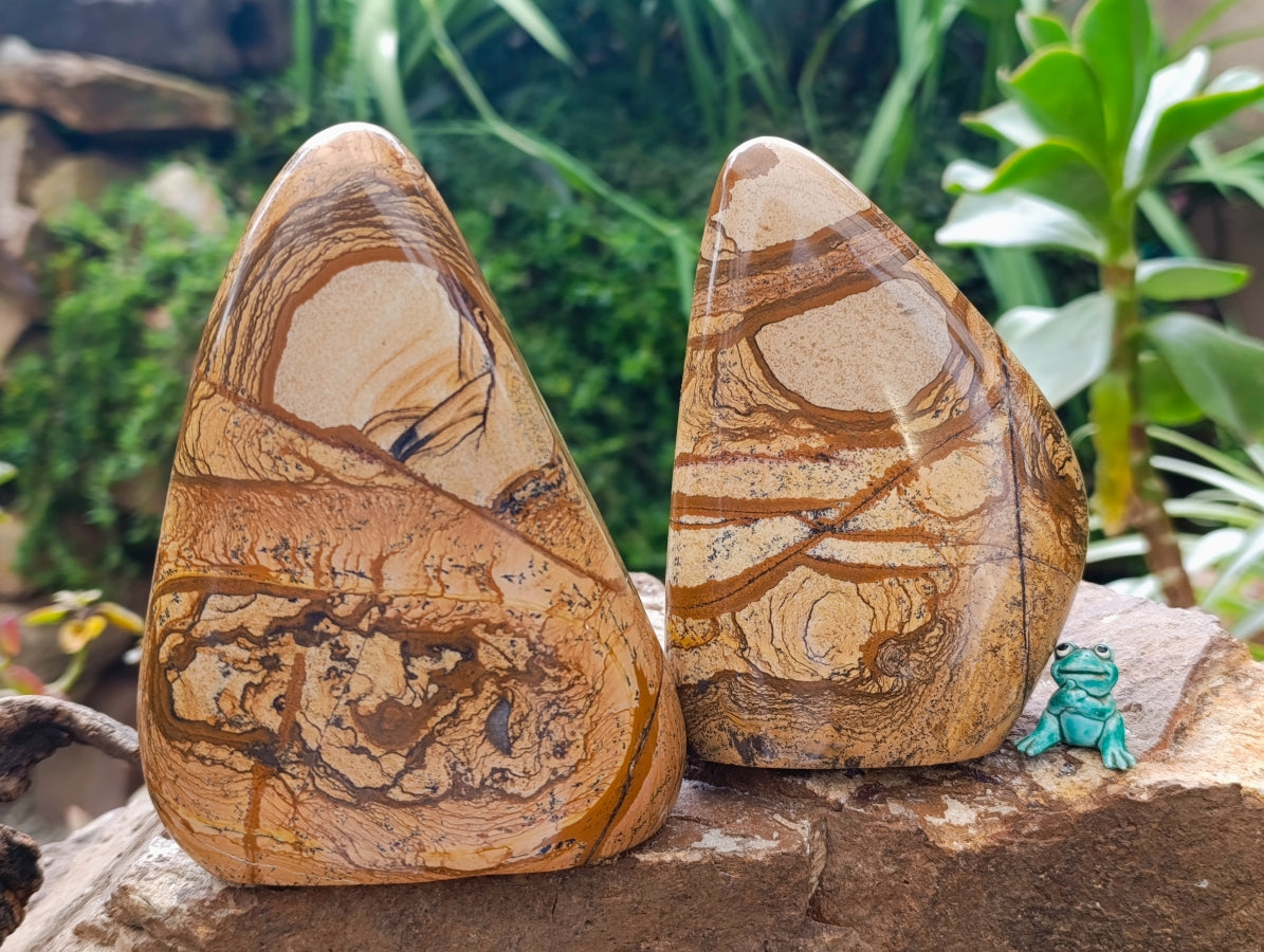 Polished Picture Stone Jasper Standing Free Forms x 2 From Ais-Ais, Namibia