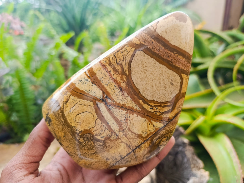 Polished Picture Stone Jasper Standing Free Forms x 2 From Ais-Ais, Namibia
