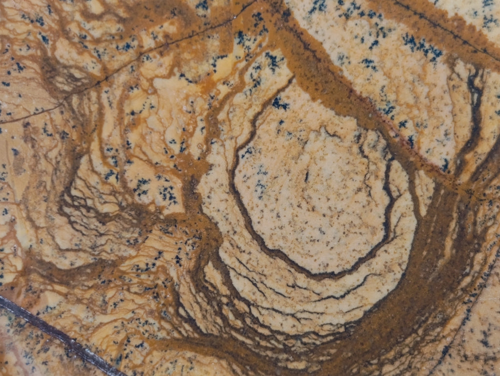 Polished Picture Stone Jasper Standing Free Forms x 2 From Ais-Ais, Namibia