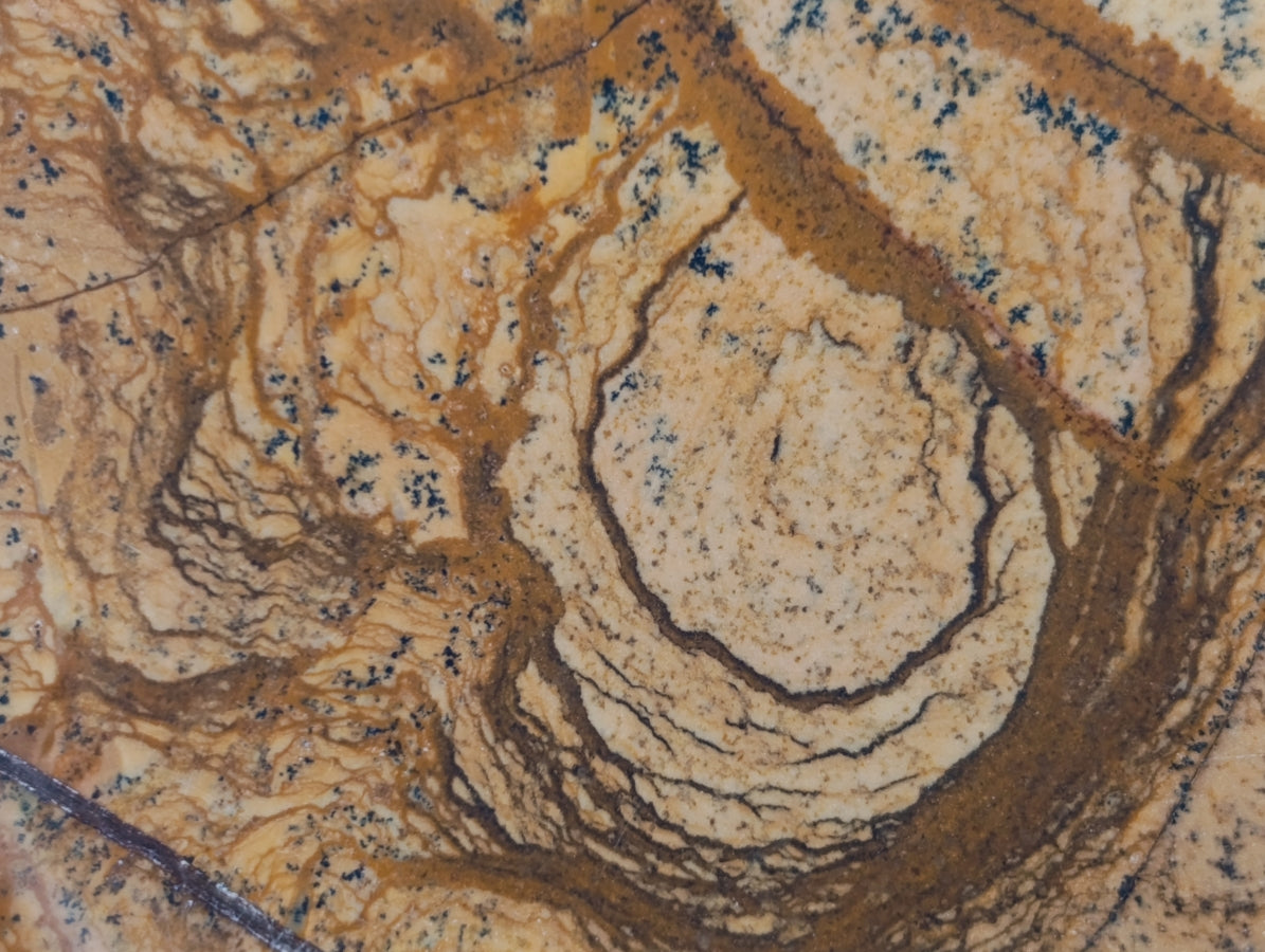 Polished Picture Stone Jasper Standing Free Forms x 2 From Ais-Ais, Namibia