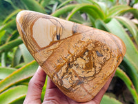 Polished Picture Stone Jasper Standing Free Forms x 2 From Ais-Ais, Namibia