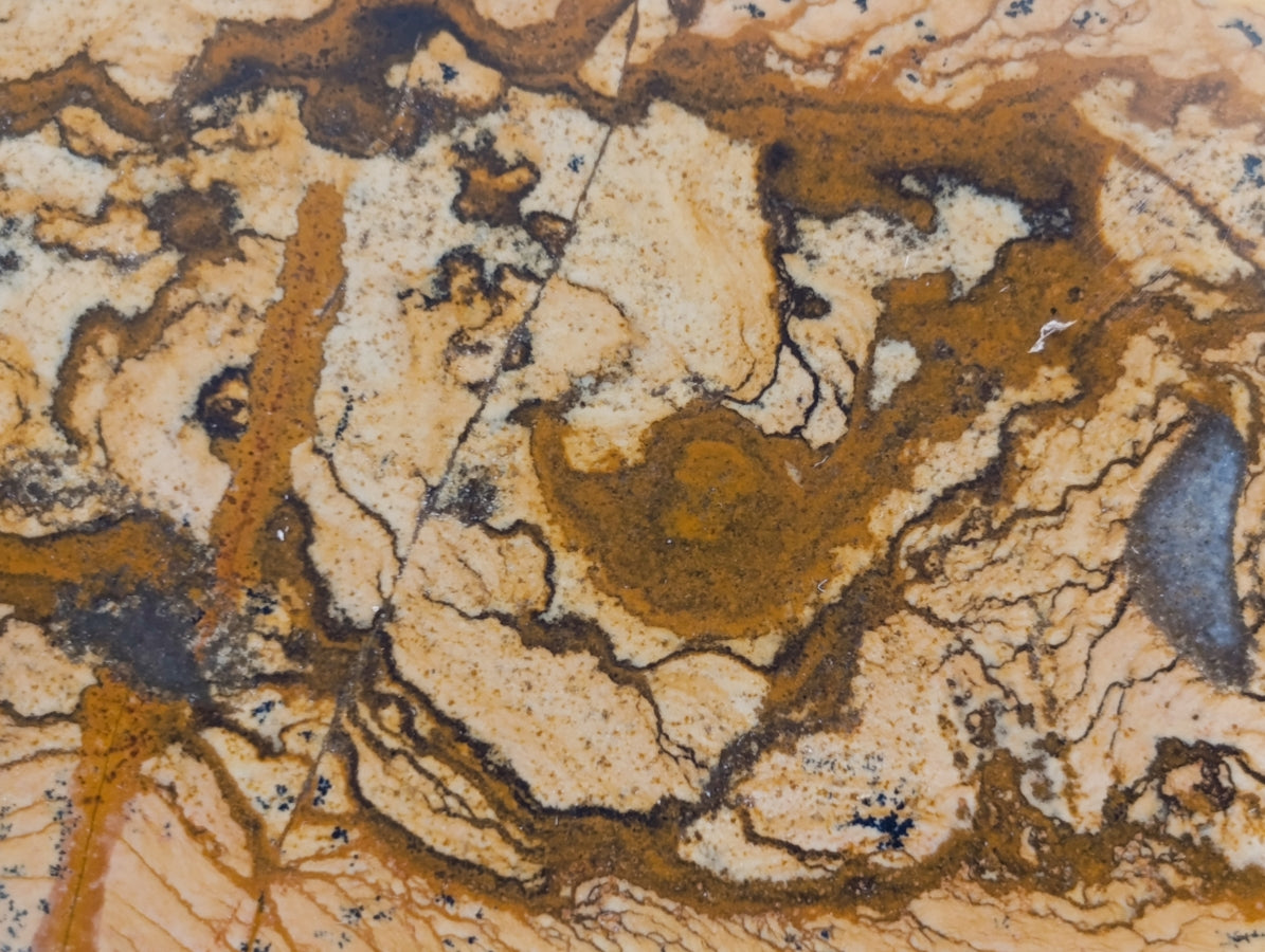 Polished Picture Stone Jasper Standing Free Forms x 2 From Ais-Ais, Namibia