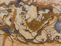 Polished Picture Stone Jasper Standing Free Forms x 2 From Ais-Ais, Namibia