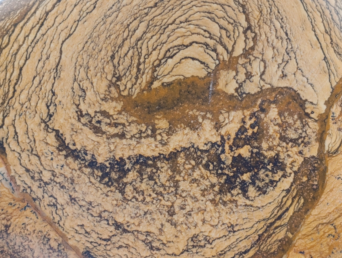 Polished Picture Stone Jasper Standing Free Forms x 2 From Ais-Ais, Namibia