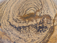 Polished Picture Stone Jasper Standing Free Forms x 2 From Ais-Ais, Namibia