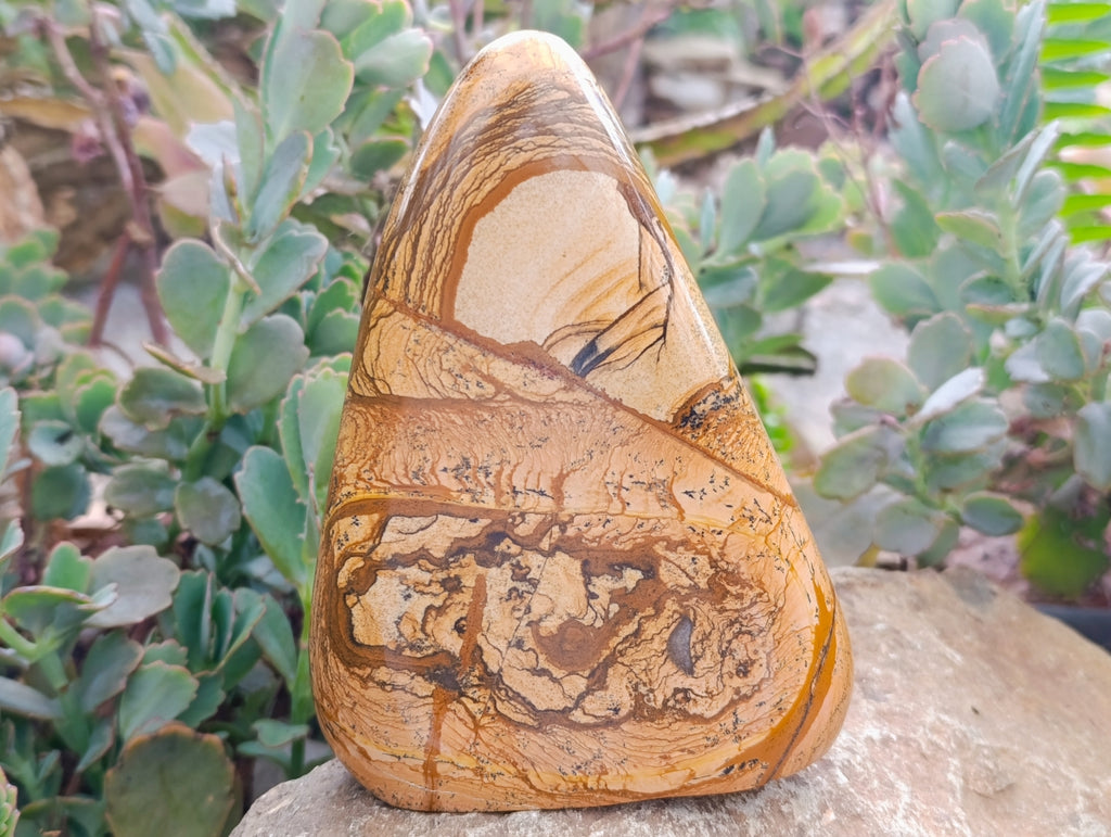 Polished Picture Stone Jasper Standing Free Forms x 2 From Ais-Ais, Namibia