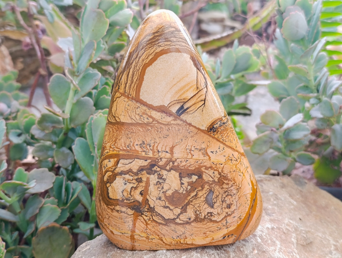 Polished Picture Stone Jasper Standing Free Forms x 2 From Ais-Ais, Namibia