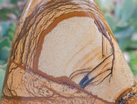 Polished Picture Stone Jasper Standing Free Forms x 2 From Ais-Ais, Namibia