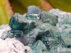 Natural Cubic Green Fluorite Cluster Specimens x 3 From Mandrosonoro, Madagascar