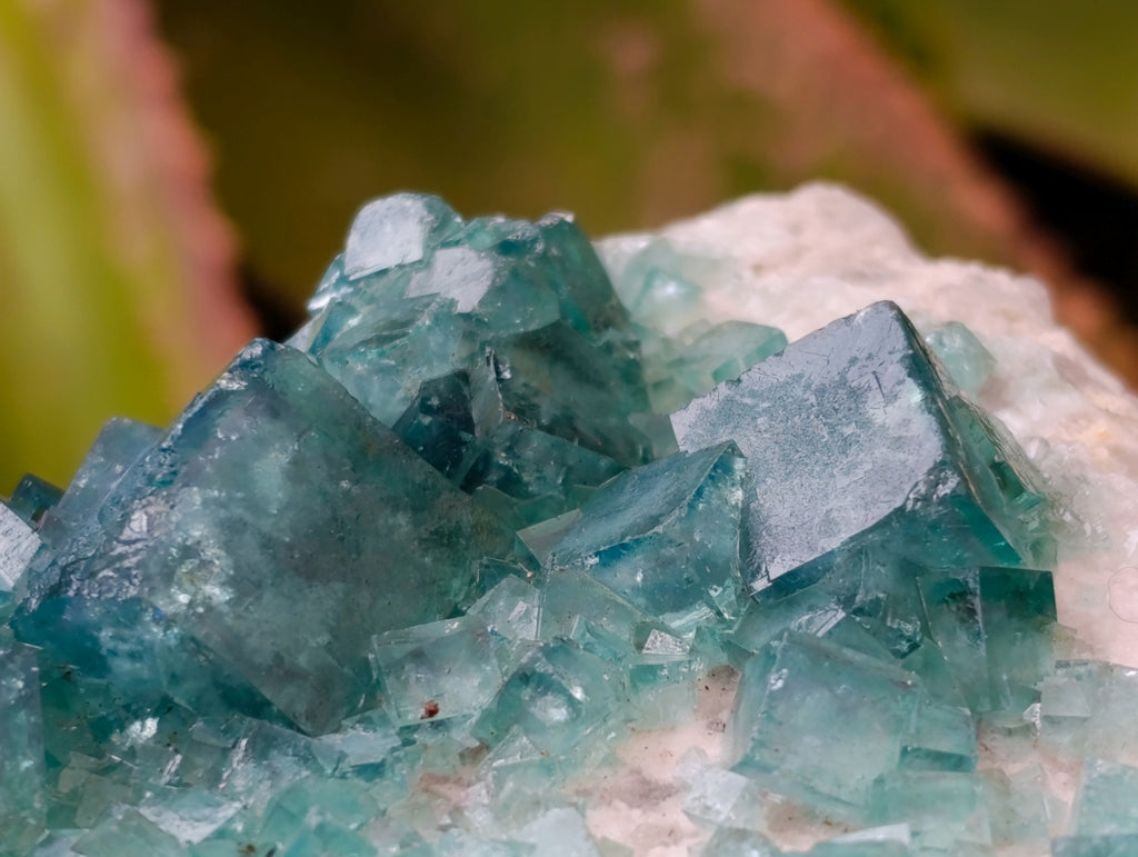 Natural Cubic Green Fluorite Cluster Specimens x 3 From Mandrosonoro, Madagascar