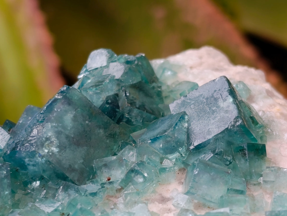 Natural Cubic Green Fluorite Cluster Specimens x 3 From Mandrosonoro, Madagascar