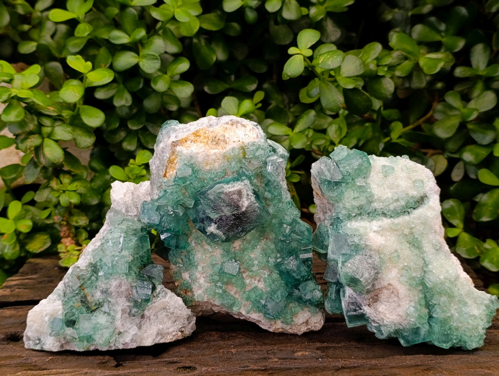 Natural Cubic Green Fluorite Cluster Specimens x 3 From Mandrosonoro, Madagascar