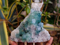 Natural Cubic Green Fluorite Cluster Specimens x 3 From Mandrosonoro, Madagascar