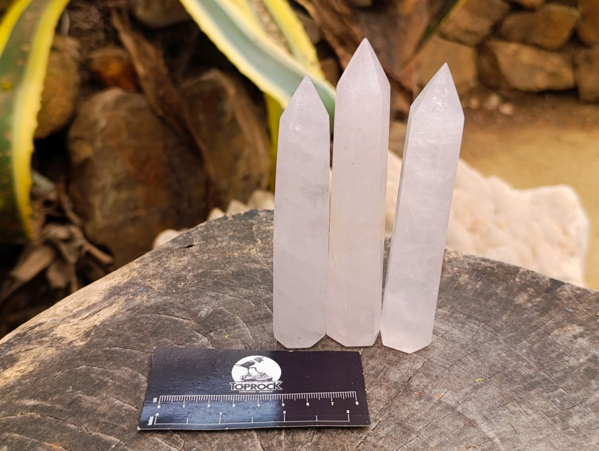 Polished Gemmy Rose Quartz Crystals x 12 From Madagascar