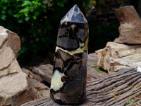 Polished Large Septerye Crystal x 1 From Mahajanga, Madagascar