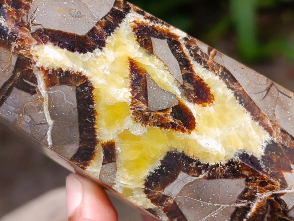 Polished Large Septerye Crystal x 1 From Mahajanga, Madagascar