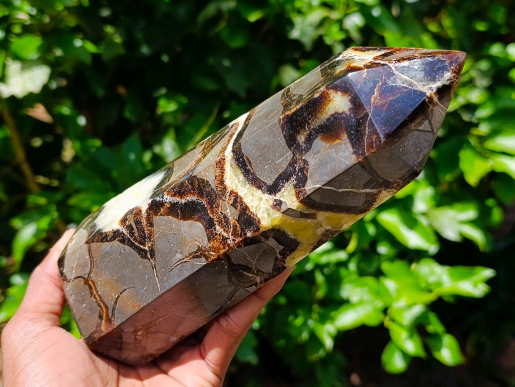 Polished Large Septerye Crystal x 1 From Mahajanga, Madagascar
