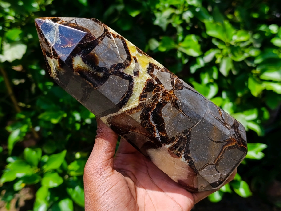 Polished Large Septerye Crystal x 1 From Mahajanga, Madagascar