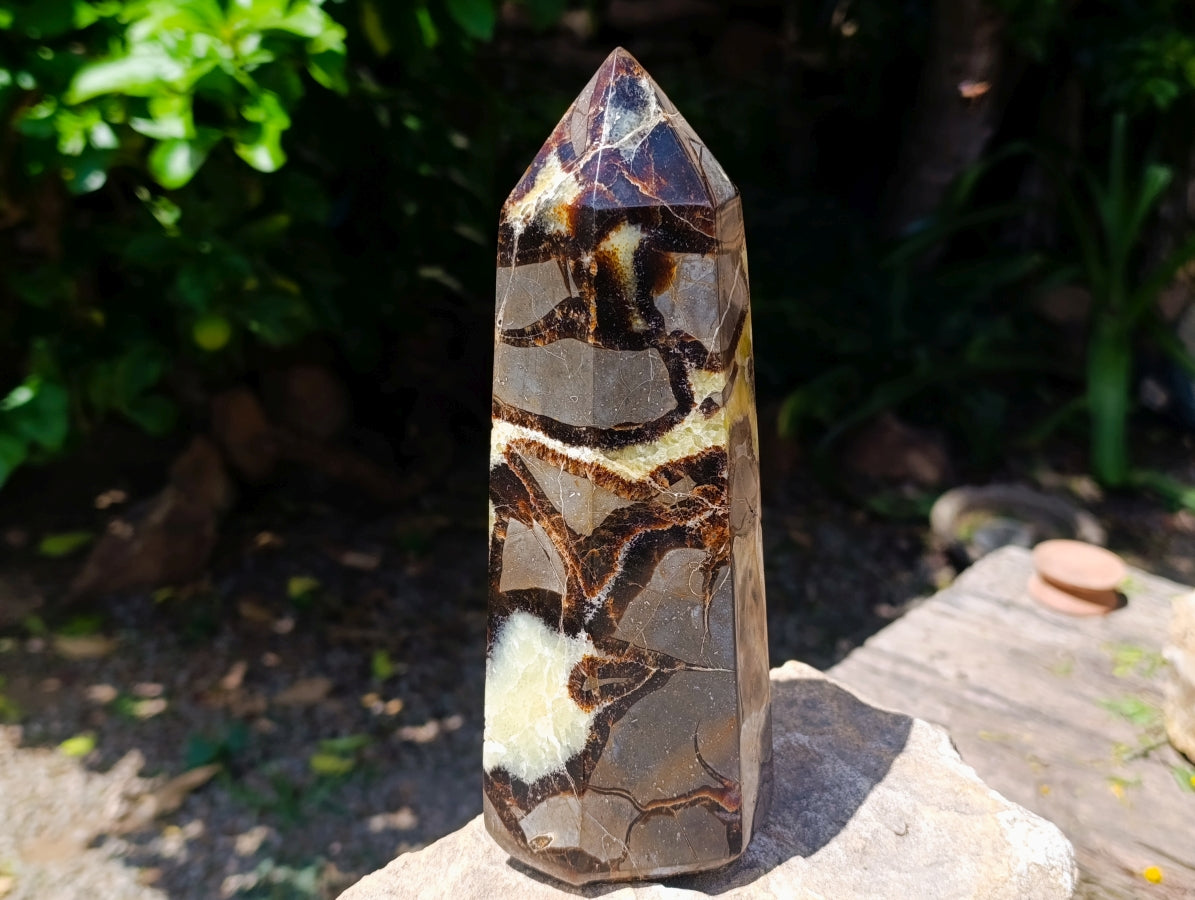 Polished Large Septerye Crystal x 1 From Mahajanga, Madagascar