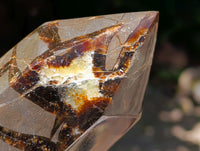Polished Large Septerye Crystal x 1 From Mahajanga, Madagascar