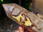 Polished Large Septerye Crystal x 1 From Mahajanga, Madagascar