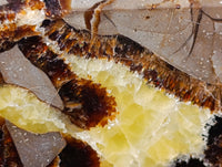 Polished Large Septerye Crystal x 1 From Mahajanga, Madagascar