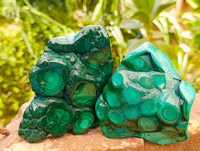 Polished Flower Banded Malachite Free Forms x 4 From Congo