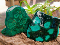 Polished Flower Banded Malachite Free Forms x 4 From Congo