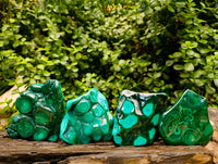 Polished Flower Banded Malachite Free Forms x 4 From Congo