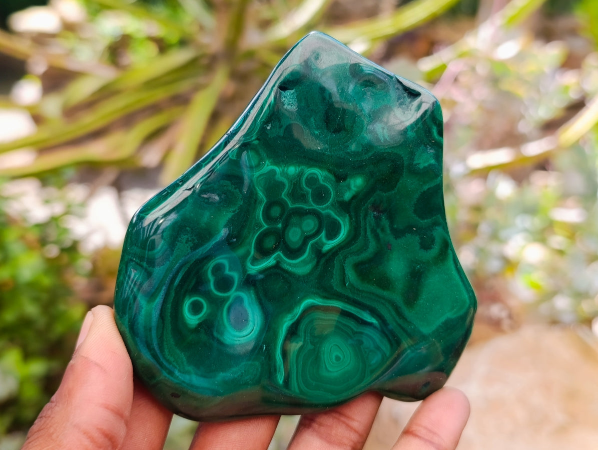 Polished Flower Banded Malachite Free Forms x 4 From Congo